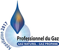 Profesionnel du gaz